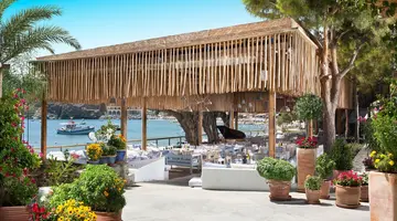 Out of the Blue Beach Resort