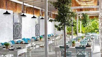 Out of the Blue Beach Resort