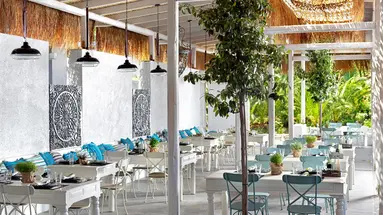Out of the Blue Beach Resort