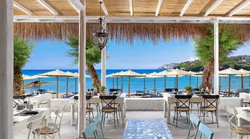 Out of the Blue Beach Resort