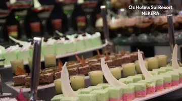 OZ HOTELS SUI