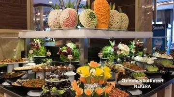 OZ HOTELS SUI