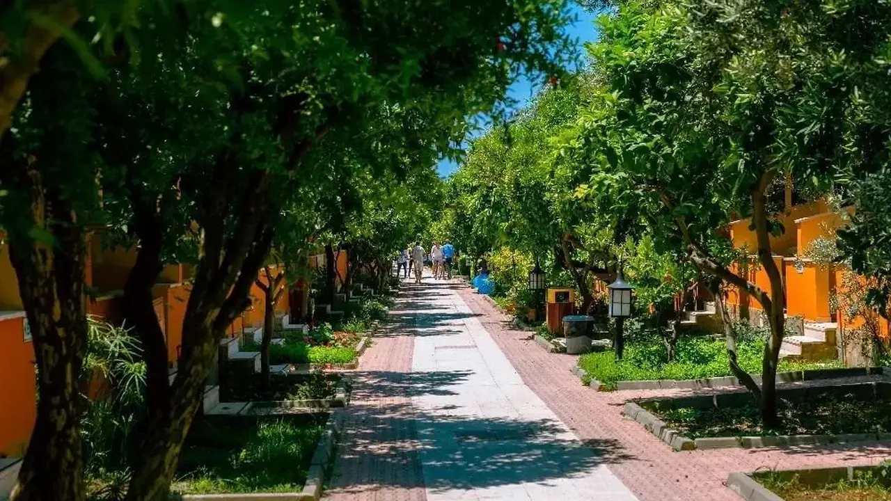OZLEM GARDEN