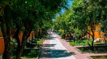 OZLEM GARDEN