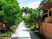 Ozlem Garden