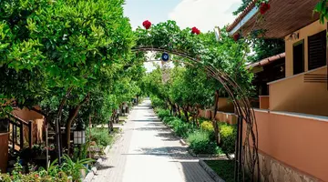 Ozlem Garden
