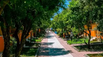 OZLEM GARDEN
