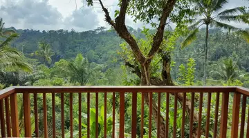 Padma Resort Ubud