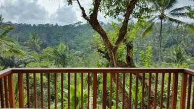 Padma Resort Ubud