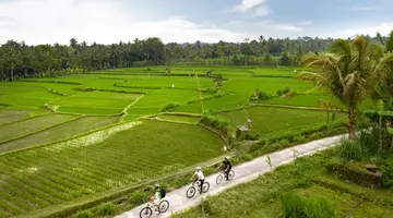 Padma Resort Ubud