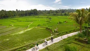Padma Resort Ubud