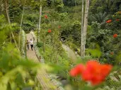 Padma Resort Ubud