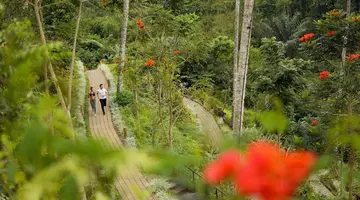 Padma Resort Ubud