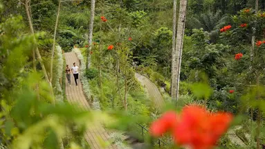 Padma Resort Ubud