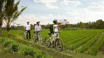 Padma Resort Ubud