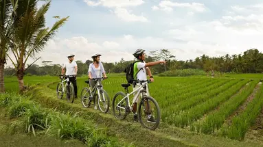 Padma Resort Ubud