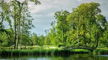 Pałac Komierowo