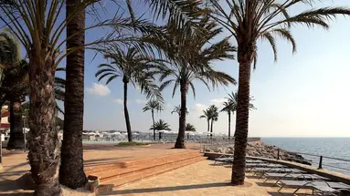 Palace Bonanza Playa Resort & SPA by Oli