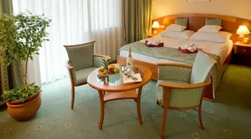 Palace Hotel Heviz