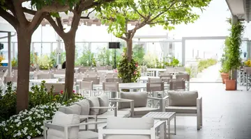 Palace Hotel