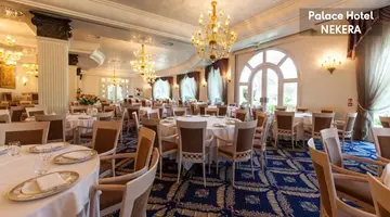 Palace Hotel