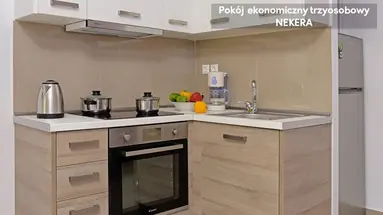 Palapart Gikas Suites and Studios