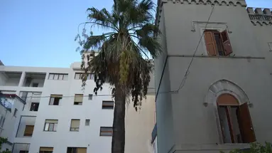 Palazzo Durante