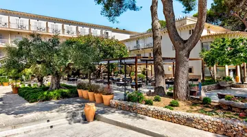 Palia Castell Dels Hams