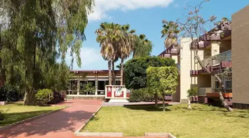 Palia Don Pedro
