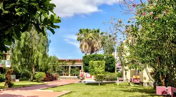 Palia Don Pedro