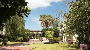 Palia Don Pedro