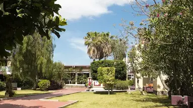 Palia Don Pedro