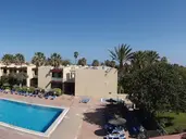 Palia Don Pedro