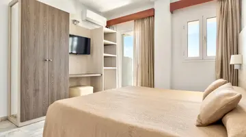 Palia La Roca