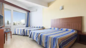 Palia La Roca