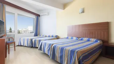 Palia La Roca