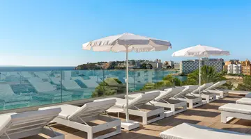 Palia Tropico Playa
