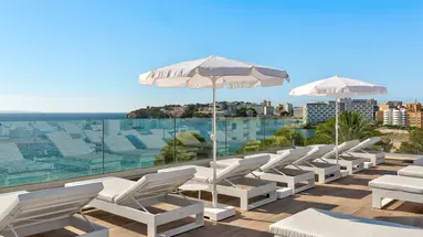 Palia Tropico Playa