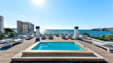 Palia Tropico Playa