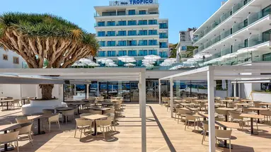 Palia Tropico Playa