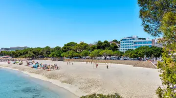Palia Tropico Playa