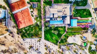 Palm Azur