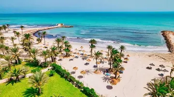 Palm Azur