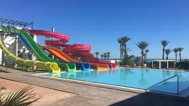 Palm Azur