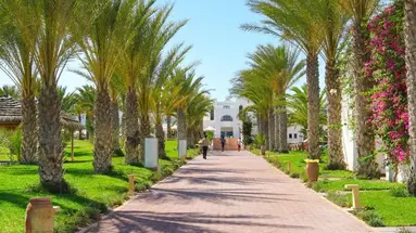 Palm Azur