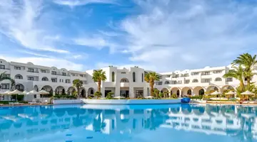 Palm Azur