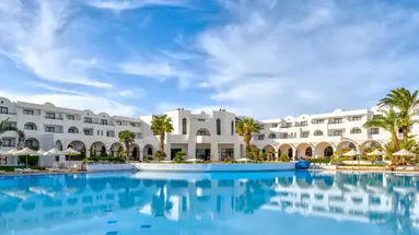 Palm Azur