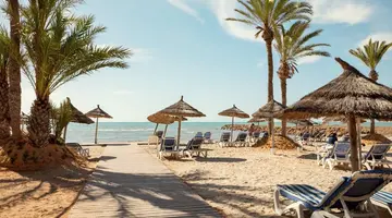 Palm Azur