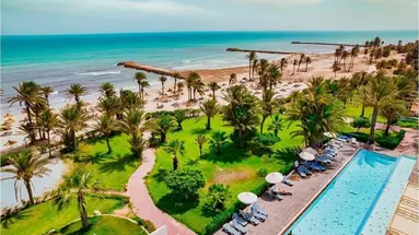 Palm Azur