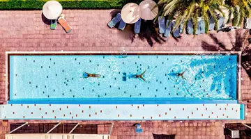 Palm Azur